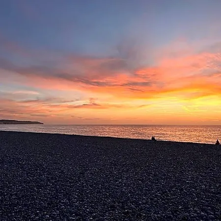 Les Nids * Dieppe